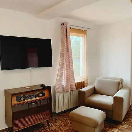 Apartment Mihaela Icici